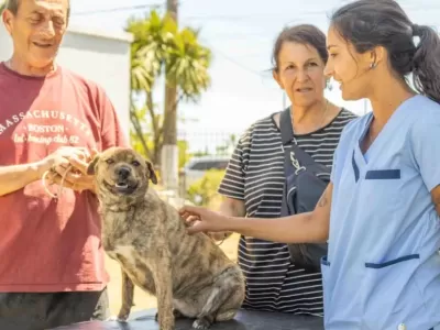 Nueva jornada veterinaria gratuita en Berisso para perros y gatos