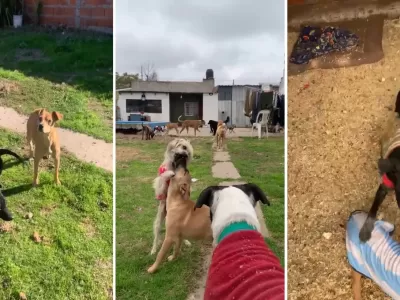 Un refugio de Berisso al borde del colapso por una deuda millonaria