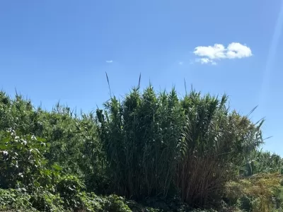 Vecinos de Villa Progreso alertan por el estado del Canal 66 y el riesgo de inundaciones