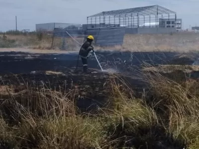 Incendio de pastizales en Villa Zula: r&aacute;pida intervenci&oacute;n de los Bomberos Voluntarios de Berisso