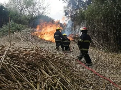 Alerta por alto riesgo de incendios en Berisso durante la ola de calor