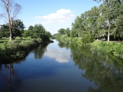 Detectan restos de Viagra en arroyos de La Plata, Berisso y Ensenada