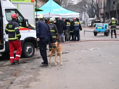 Llevan perros al lugar del incendio y derrumbe en La Plata para determinar si hay cuerpos entre los escombros