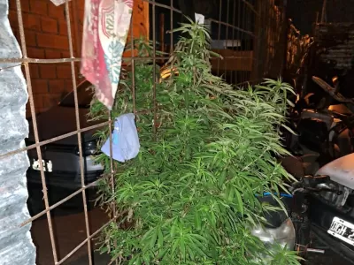 Allanamiento por el robo de una bicicleta terminó con el hallazgo de droga y autopartes con pedido de secuestro