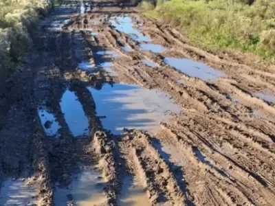 Vecinos de Los Talas exigen mejoras en calles intransitables