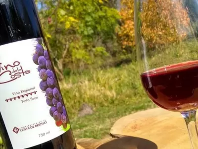 La Fiesta del Vino de la Costa ya tiene su video oficial y crece la expectativa en Berisso