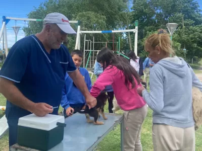 Continúan las jornadas de Veterinaria en distintos puntos de la ciudad