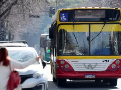 Berisso: la Municipalidad retirará paradas de colectivos para mejorar el tránsito