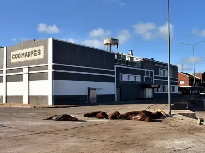 Acusan falta de par&aacute;metros objetivos en la investigaci&oacute;n por contaminaci&oacute;n que avanza en Mar del Plata