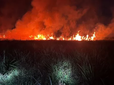 Alerta en Berisso por la quema de pastizales: piden m&aacute;xima precauci&oacute;n a la comunidad