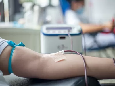 Convocan a donar sangre y m&eacute;dula &oacute;sea en el Instituto Canossiano de Berisso