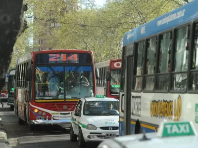 Caos en el centro de La Plata por las obras en Plaza Rocha e Italia: cambios en el tránsito y desvíos de micros