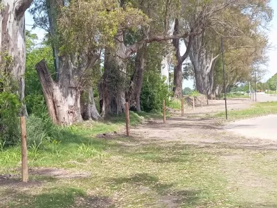 Mercedes bajo sospecha: acusan a allegados a Wado de Pedro de apropiarse de terrenos públicos