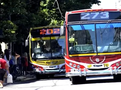 Desde enero aumenta el boleto de micro en La Plata, Berisso y Ensenada: sube 4,5%