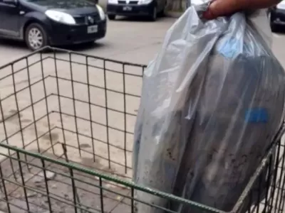 Feriado del 9 de Julio: no habrá recolección de residuos en Berisso